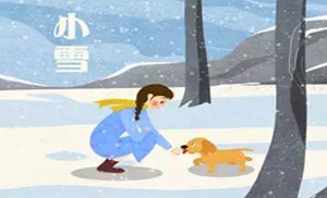 安氏亞森板材：小雪丨花開(kāi)天下暖，葉落天下寒